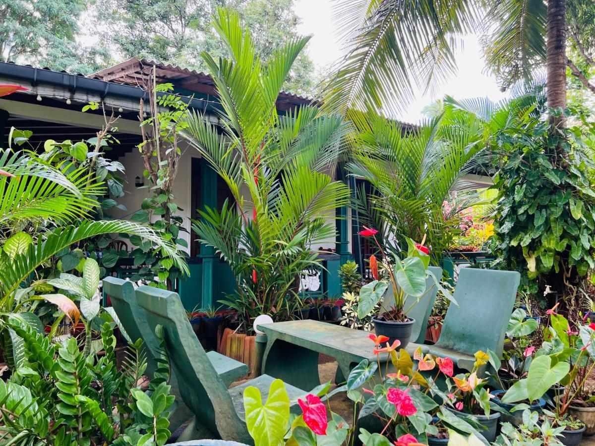 Sigiri Budget Homestay Sigiriya Buitenkant foto