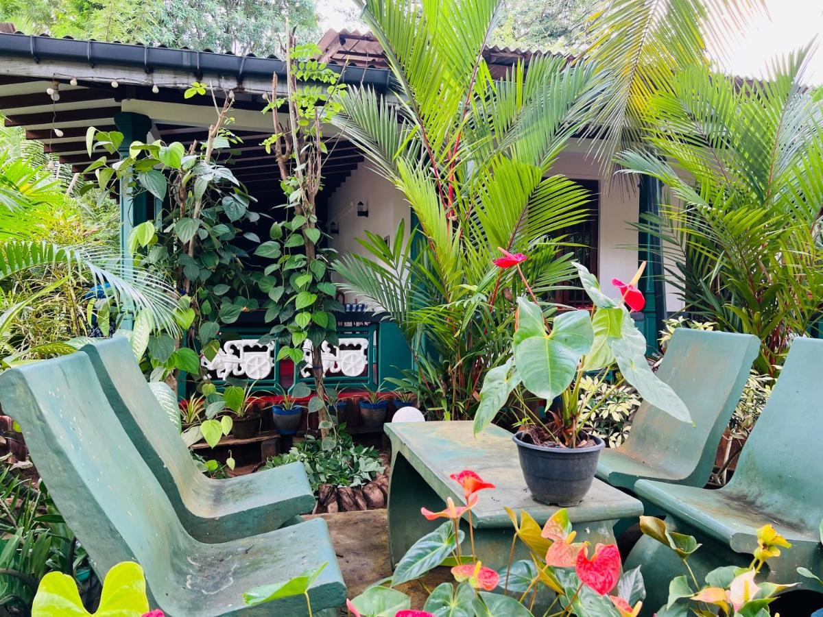 Sigiri Budget Homestay Sigiriya Buitenkant foto