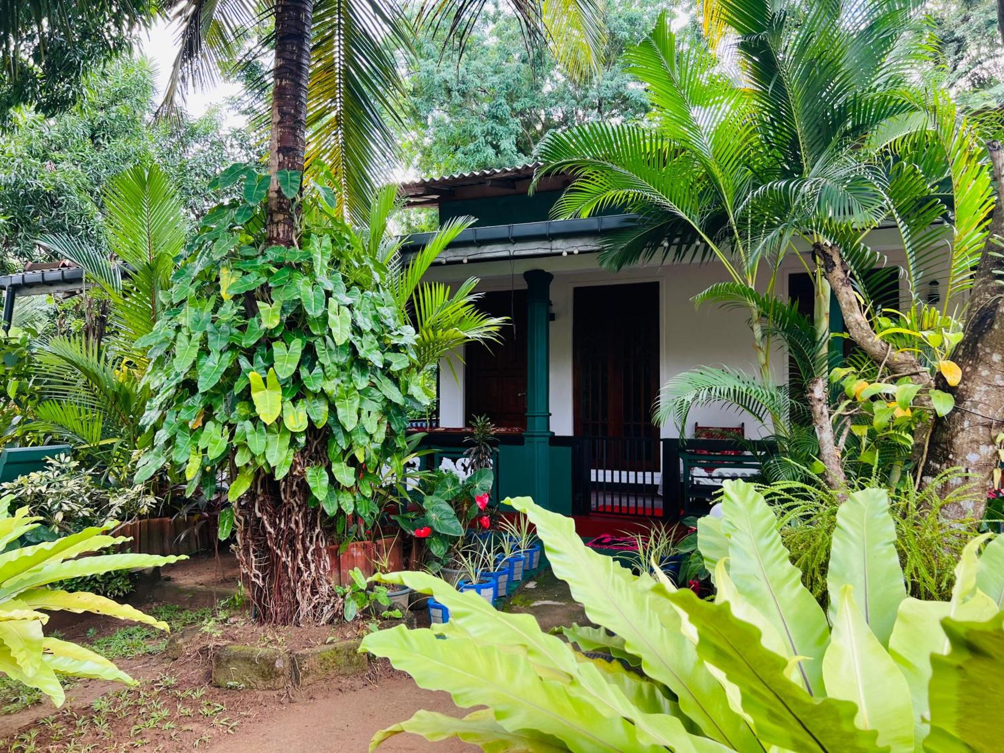 Sigiri Budget Homestay Sigiriya Buitenkant foto