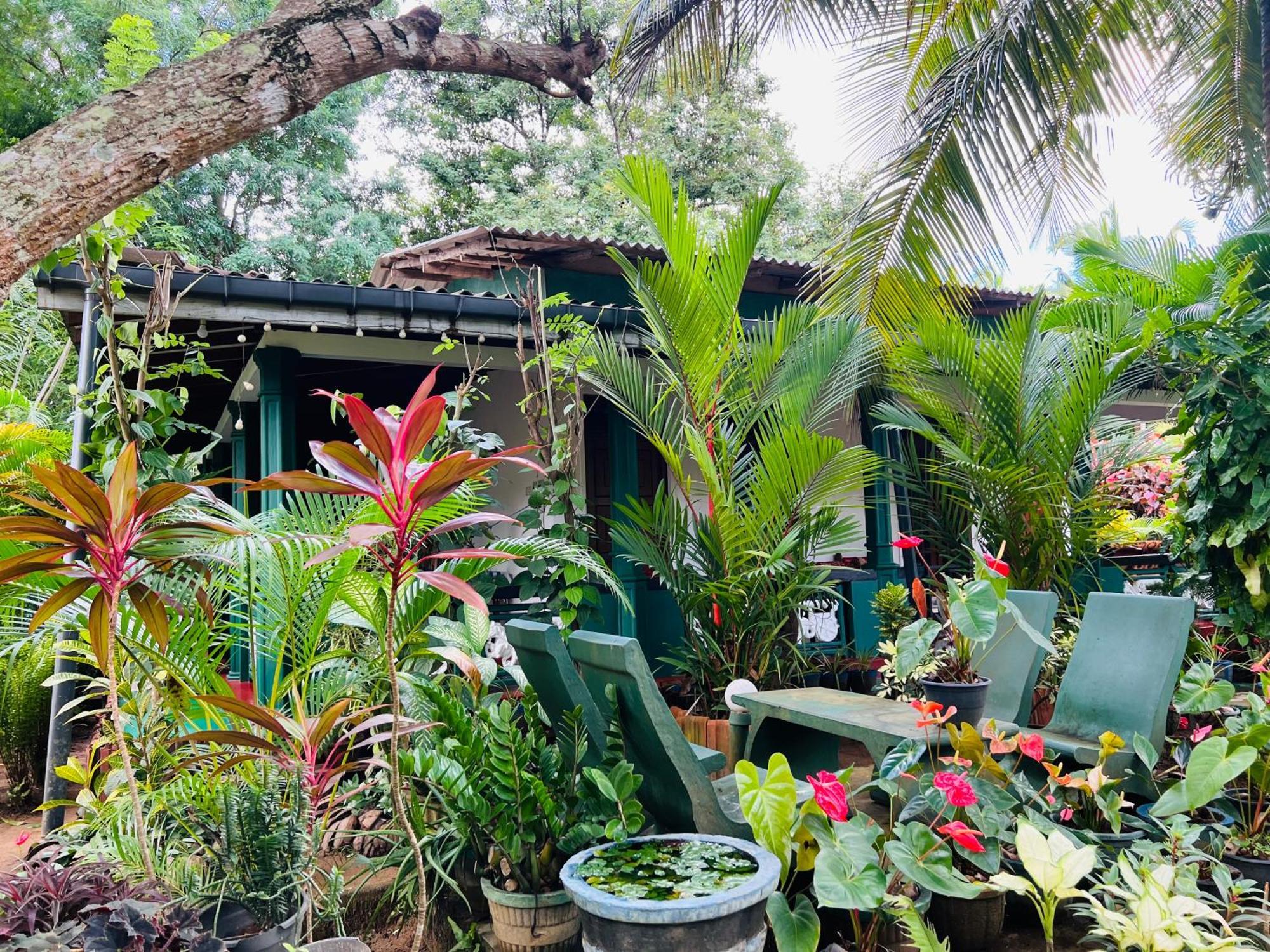 Sigiri Budget Homestay Sigiriya Buitenkant foto
